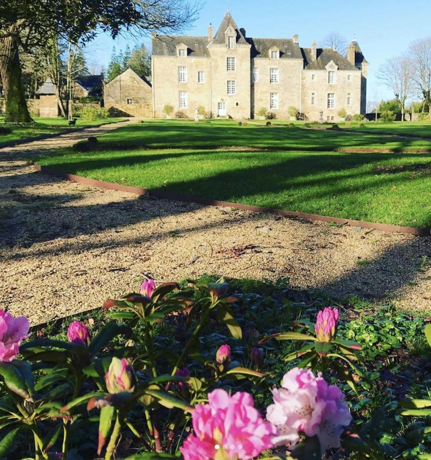Chateau De Cadouzan Saint-Dolay Kültér fotó